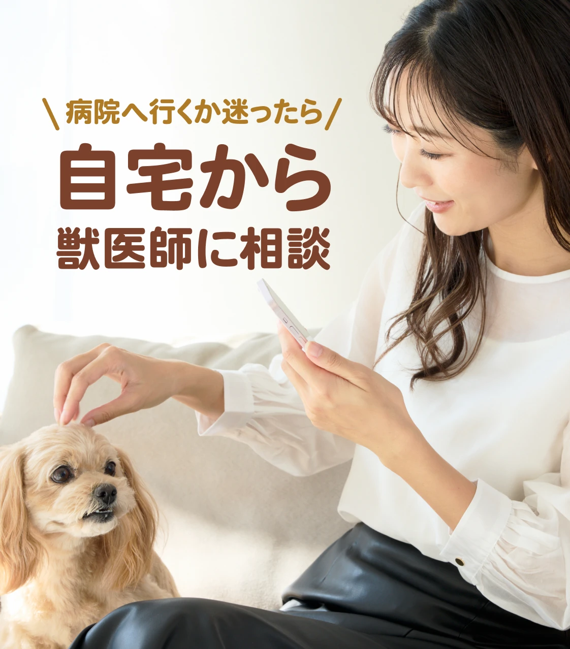 病院へ行くか迷ったら、自宅から獣医師に相談